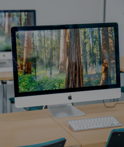 Event Staffing services